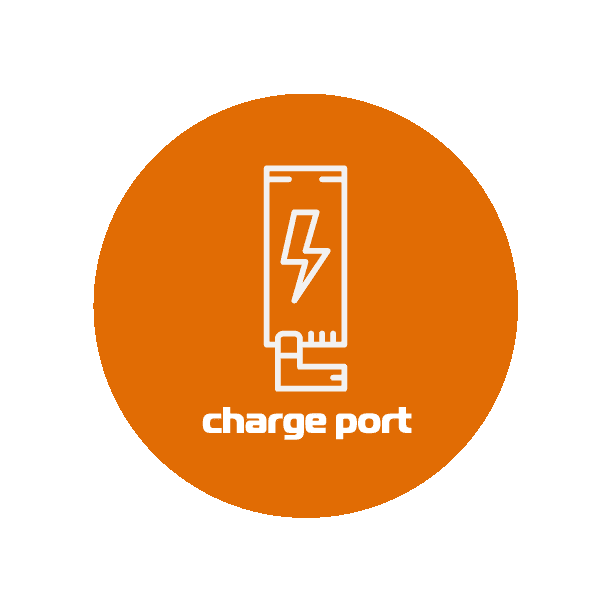 Galaxy S2-Charge port